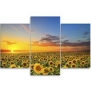 3 stykke lærred print, solsikker blomster eng