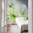 Papier peint photo Schmucker - Amaryllis blanche