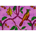 Livingwalls Fototapet Walls by Patel 2 bird of paradise 2