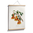 Luźny plakat - fabryka pizzy