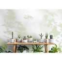 Papeles pintados fotomurales Livingwalls Paredes de Patel 3 Shadow Room 3 verde, blanco