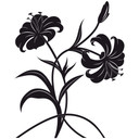 Sticker mural - Orchidées