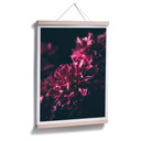 Plakat Pink Flower Dream 01