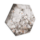 Hexagone - Alu-Dibond Annie - Fleurs sauvages
