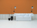 Premium vægmaling orange - PURO c9003 støvet orange