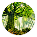 Tableau sur alu-Dibond rond Forêt de conte de fées