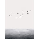 Fototapeta Otwarte morze - Kubistika