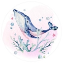 Sticker mural Kvilis - Orque curieuse - Rond