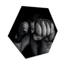 Hexagon Dibond Vrican - Een Linkse