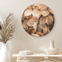 Tableau sur alu-Dibond Annie - Fleurs délicates - Rond