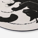 Dibond vægdekoration Katte Ying & Yang - Tunaboylu – print på aluminium (Alu-Dibond)