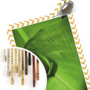Poster - Feuille de banane