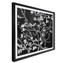 Plakat van Gogh - Kwiat migdałowca - czarny