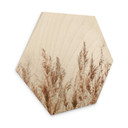 Hexagone - Bois Roseau