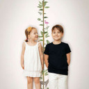 Børnetapet, non-woven tapet med illustration Kids Walls hvid, grøn, beige