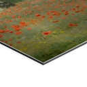 Alu-Dibond brossé avec Effet Doré, Argenté & Cuivré - Coquelicots à Argenteuil - Monet