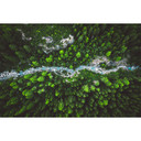 Fototapeta Murko - Matka Natura