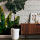 Brick WallOnLeaves tapet i grågrøn - non-woven tapet Designwalls 2 - 2,55 x 3,5 m