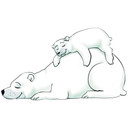 Wallsticker isbjørne