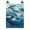 Plakat Brown - Wieloryby