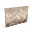 Houten Wanddecoratie paardenbloemen droom in beige - Ms Tiff