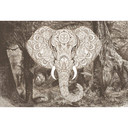 Architects Paper Papier peint photo Atelier 47 Elephant Head jungle