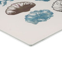 Glasbillede - Filigran alger og skaller | Maritim illustration - casa cartissi