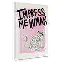 Obraz na płótnie kot: Impress me Human - Bloom