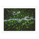 Plakat Murko - Matka Natura