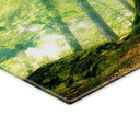 Tableau sur verre Kiciak - Forêt enchantée