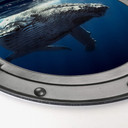 Tableau en alu-Dibond hublot effet 3D - Baleine - Rond