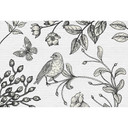 Fotomural Paredes de Patel birdy 2