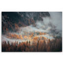 Canvasbillede, Skov i tåge