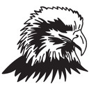 Sticker mural Aigle à tête blanche