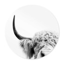 Plakat Sisi & Seb - Bull - Round