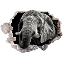 Wallsticker 3D-sticker Meermann - Afrikansk elefant
