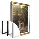 Plakat Fawn