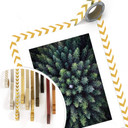 Plakat Lindsten - Treetops