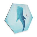 Hexagone - Alu-Dibond Rivers - Le requin baleine