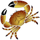Wallsticker Krebs 2