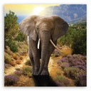 Canvasbillede, Elefant ved solnedgang