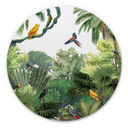 Tableau sur alu-Dibond rond Kikki Belle - Tropical Birds