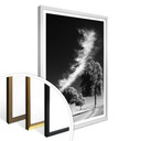 Plakat Silver Linings
