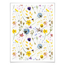 Plakat UN Designs - Suszone kwiaty