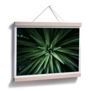 Plakat Botaniczny