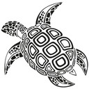 Wallsticker Skildpadde