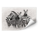 Zelfklevende Poster - Trubitsyn - Zebra's in de Savanne