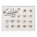 Poster Kaffeesorten