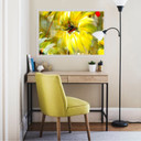 Zelfklevende Poster - Niksic - Sunny Room
