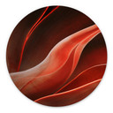 Tableau sur alu-Dibond rond Wechsler - plantes d'agave en automne